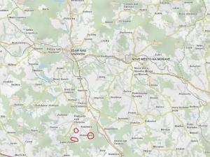 Prodej podílu lesa, Krásněves, 7152 m2