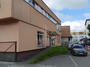 Prodej obchodního prostoru, Valašské Meziříčí, Zašovská, 2500 m2