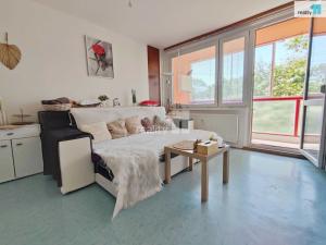 Pronájem bytu 1+kk, Pardubice - Polabiny, Lidická, 34 m2