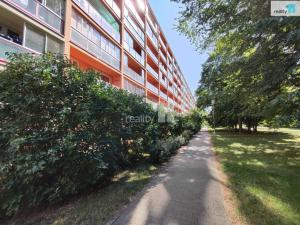 Pronájem bytu 1+kk, Pardubice - Polabiny, Lidická, 34 m2