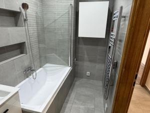 Pronájem bytu 3+kk, Most, Vítězslava Nezvala, 55 m2