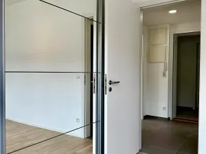 Prodej bytu 2+kk, Praha - Vinohrady, Perucká, 54 m2