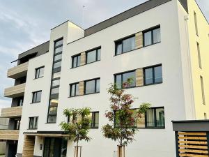 Prodej bytu 2+kk, Praha - Vinohrady, Perucká, 54 m2
