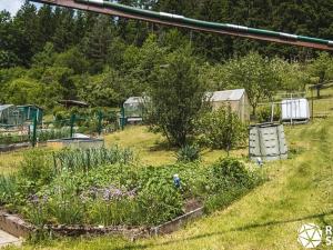 Prodej rodinného domu, Brněnec, 60 m2