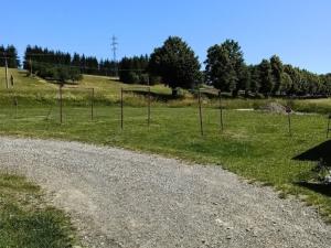Prodej pozemku pro bydlení, Šumavské Hoštice, 805 m2
