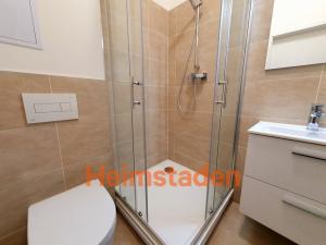Pronájem bytu 2+kk, Ostrava - Poruba, Porubská, 41 m2