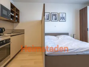 Pronájem bytu 1+kk, Plzeň - Jižní Předměstí, Magisterská, 28 m2