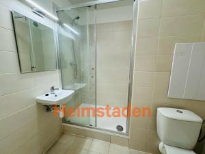 Pronájem bytu 1+kk, Ostrava - Zábřeh, Petruškova, 30 m2