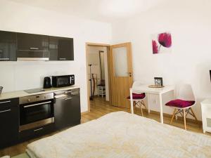 Pronájem bytu 1+kk, Brno, Vlhká, 28 m2