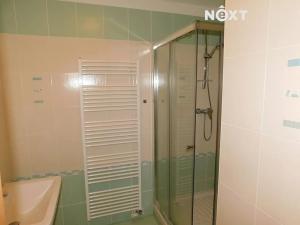 Pronájem bytu 1+kk, Černý Důl, 19 m2