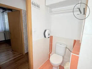 Pronájem bytu 2+kk, České Budějovice, Dlouhá, 40 m2