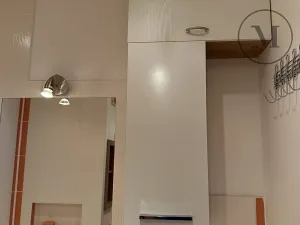 Pronájem bytu 2+kk, České Budějovice, Dlouhá, 40 m2