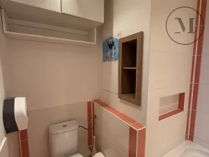Pronájem bytu 2+kk, České Budějovice, Dlouhá, 40 m2