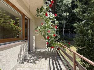 Prodej rodinného domu, Světlá Hora - Suchá Rudná, 280 m2