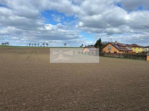 Prodej pozemku pro bydlení, Velké Přílepy, 4077 m2