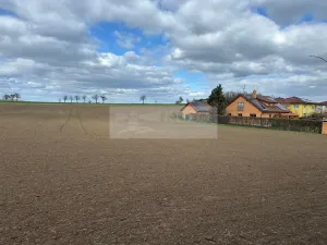Prodej pozemku pro bydlení, Velké Přílepy, 4077 m2