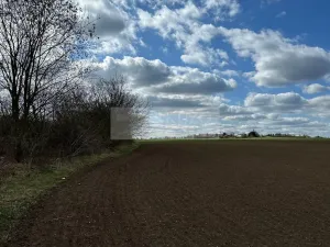 Prodej pozemku pro bydlení, Velké Přílepy, 4077 m2