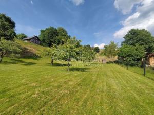 Prodej chalupy, Lázně Bělohrad - Dolní Javoří, 60 m2