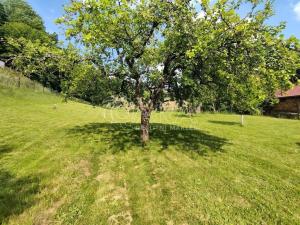 Prodej chalupy, Lázně Bělohrad - Dolní Javoří, 60 m2