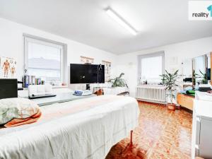 Pronájem bytu 4+kk, Horní Lapač, 290 m2