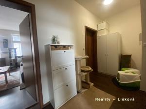 Pronájem bytu 2+1, Ústí nad Labem - Ústí nad Labem-centrum, Thomayerova, 63 m2