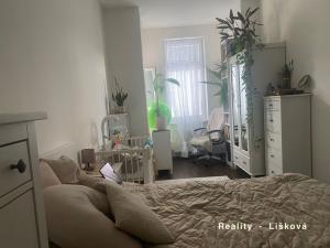 Pronájem bytu 2+1, Ústí nad Labem - Ústí nad Labem-centrum, Thomayerova, 63 m2