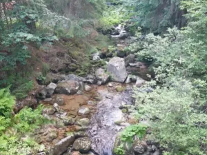 Prodej rodinného domu, Desná - Desná III, Riedlova, 147 m2