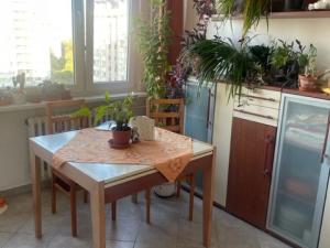 Pronájem pokoje, Praha - Kobylisy, Taussigova, 20 m2