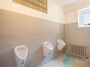 Pronájem kanceláře, České Budějovice, Školní, 351 m2