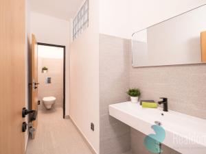 Pronájem kanceláře, České Budějovice, Školní, 1260 m2