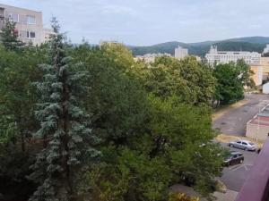 Prodej bytu 2+1, Litvínov - Horní Litvínov, Čapkova, 62 m2