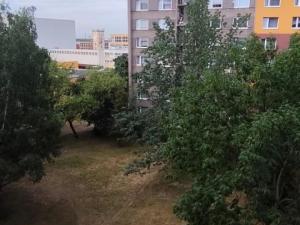 Prodej bytu 2+1, Litvínov - Horní Litvínov, Čapkova, 62 m2