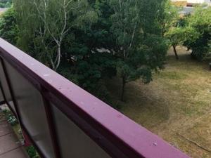Prodej bytu 2+1, Litvínov - Horní Litvínov, Čapkova, 62 m2