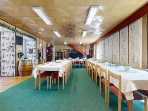 Prodej chaty, Zábřeh - Dolní Bušínov, 600 m2