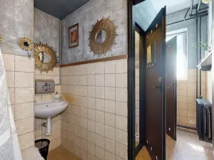 Prodej chaty, Zábřeh - Dolní Bušínov, 600 m2