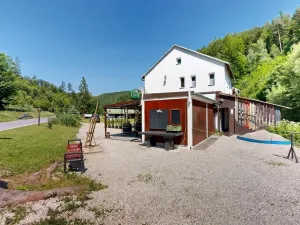 Prodej chaty, Zábřeh - Dolní Bušínov, 600 m2