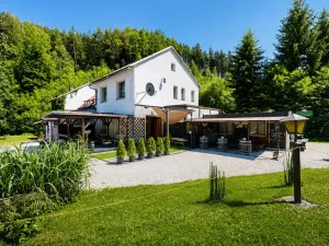 Prodej chaty, Zábřeh - Dolní Bušínov, 552 m2
