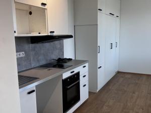 Pronájem bytu 1+kk, Dyje, 44 m2