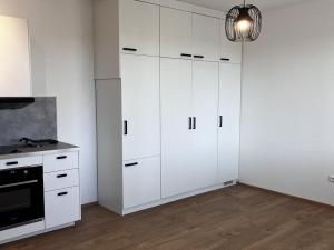 Pronájem bytu 1+kk, Dyje, 44 m2