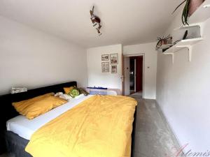 Prodej rodinného domu, Ostrava - Stará Bělá, Na Pešatku, 300 m2
