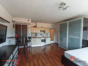 Prodej bytu 1+kk, Praha - Vysočany, Skloněná, 40 m2