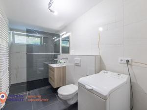 Prodej rodinného domu, Všemina, 200 m2