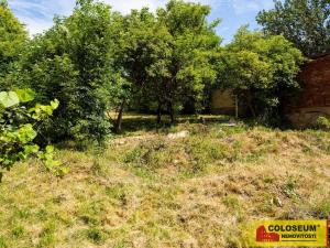 Prodej rodinného domu, Bohdalice-Pavlovice - Bohdalice, 346 m2