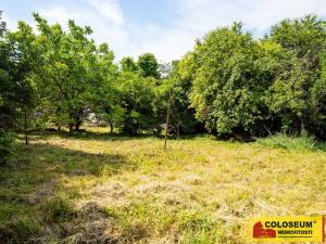 Prodej rodinného domu, Bohdalice-Pavlovice - Bohdalice, 346 m2