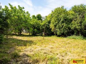 Prodej rodinného domu, Bohdalice-Pavlovice - Bohdalice, 346 m2