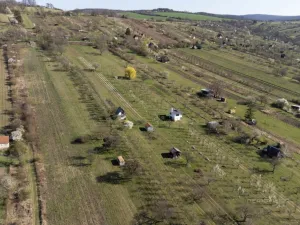 Prodej sadu/vinice, Strážnice, 4353 m2