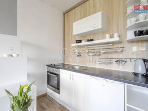 Pronájem bytu 1+kk, Cvikov - Cvikov II, Sídliště, 20 m2