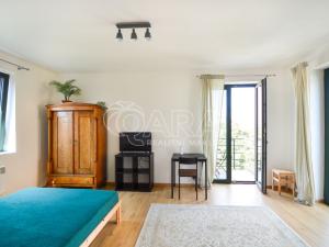Pronájem bytu 1+kk, Praha - Nusle, Nad Nuslemi, 30 m2