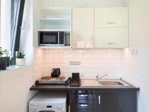 Pronájem bytu 1+kk, Praha - Nusle, Nad Nuslemi, 30 m2