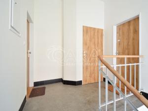 Pronájem bytu 1+kk, Praha - Nusle, Nad Nuslemi, 30 m2